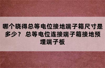 哪个晓得总等电位接地端子箱尺寸是多少？ 总等电位连接端子箱接地预埋端子板